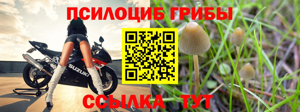 Галлюциногенные грибы Cubensis Омск