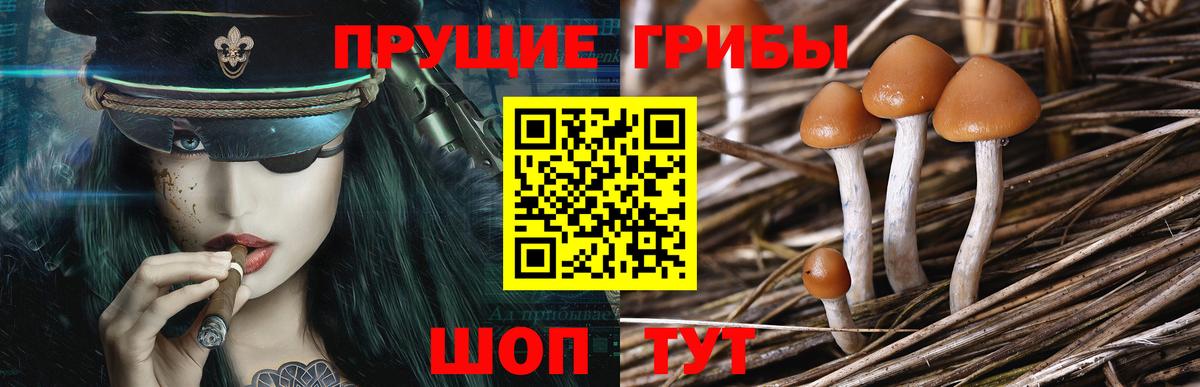 Галлюциногенные грибы ЛСД  Псилоцибиновые грибы мухоморы  Омск 
